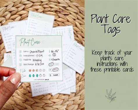 Plant Care Instructions Card Printable Plant Tags Digital Etsy