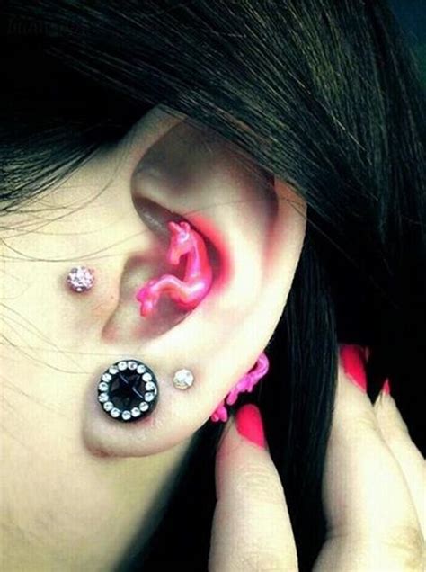 The small, thick flap of cartilage directly over the ear canal, connected to. 80+ Inner and Outer Conch Piercing Ideas You Can't go ...