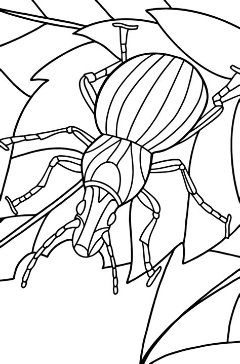 adult coloring pages insects