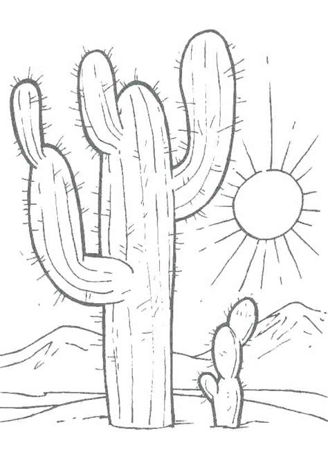 Desert Coloring Pages Printable At Getdrawings Free Download