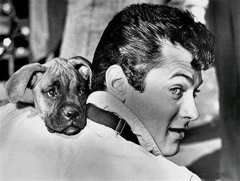 Sit And Stay Iconic Images Of Hollywood Stars And Their Dogs