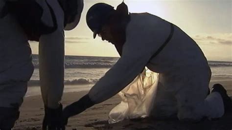 Oily Substance On California Beach Prompts Officials To Close Coastline