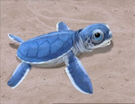 Baby Sea Turtle Wonder Pets Wiki Fandom