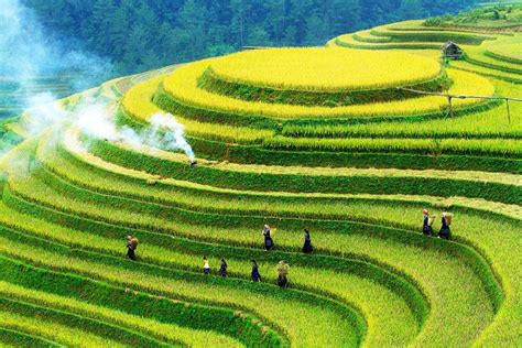 Mu Cang Chai Local Travel Guide Vietnams Most Beautiful Rice
