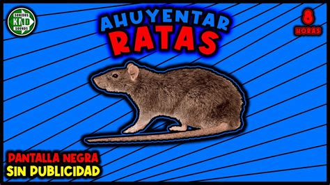 Sonido Para Ahuyentar Ratas Repelente De Ratas Ultrasonido Youtube