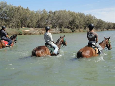 Australian Adventure 2010 Horse Riding In The River Kalbarri Wa 1511