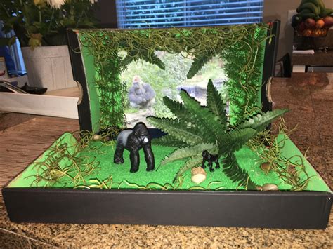 Gorilla Habitat Diorama | Habitats projects, Jungle crafts, Habitat