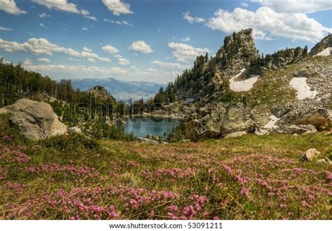 Arduous Lupine Meadows Trail Hike Over Shutterstock