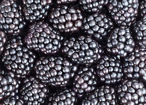 Premium Photo Background Of Juicy Blackberries Close Up