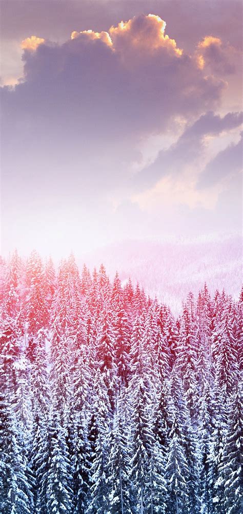 Landscape Winter Snow Trees Mountains Wallpaper 1440x3040