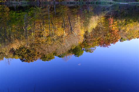 Upsidedown Trees Lake Sky Reflection Foliage Free Nature Pictures By