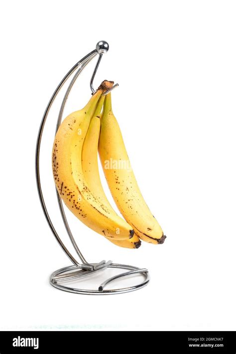 Multiple Bananas On A Banana Holder Stainless Steel Hanger With Three