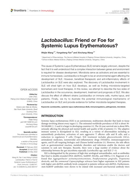 Pdf Lactobacillus Friend Or Foe For Systemic Lupus Erythematosus