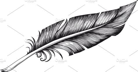 Harry potter quill vs writing quill review compares two quills and talks about if the happy potter quill is worth it. Vintage quill pen to write detailed ~ Illustrations ...