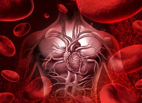 La Mala Circulación Sanguínea Puede Presentar Algunas Señales Claves