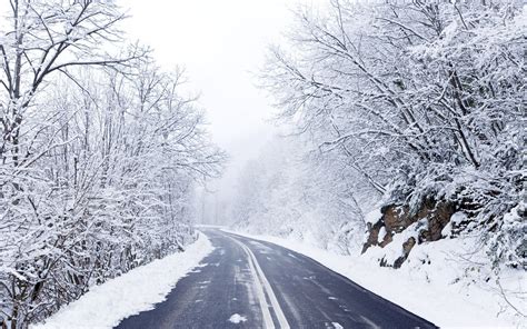 Wallpaper Forest Road Frost Freezing Tree Weather