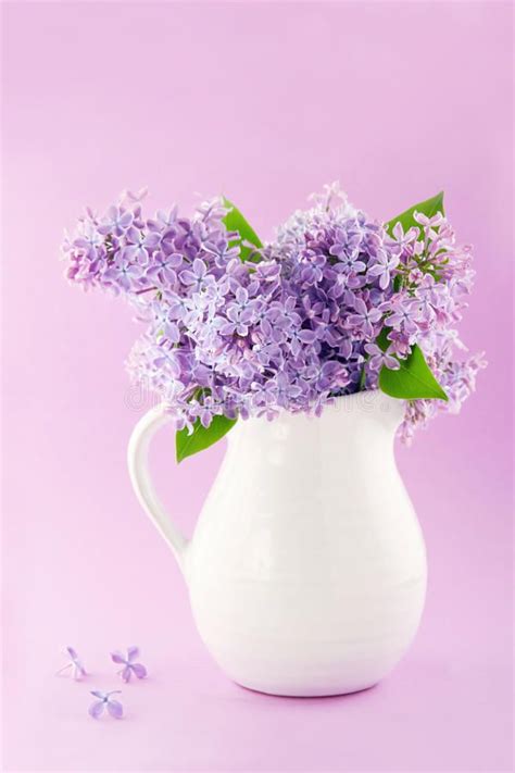 Lilas Lilac Flowers Purple Lilac Spring Flowers White Vases Royalty