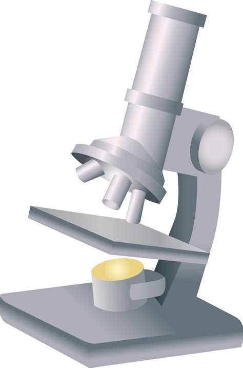 Microscope Png Transparent Image Download Size 1264x1914px