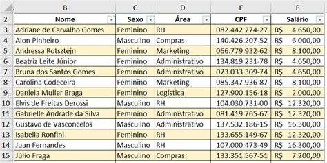 Formul Rio De Cadastro No Excel Sem Vba