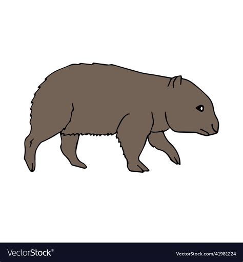 Hand Drawn Doodle Sketch Colored Wombat Royalty Free Vector