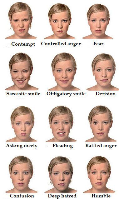 Facial Expressions Download Scientific Diagram