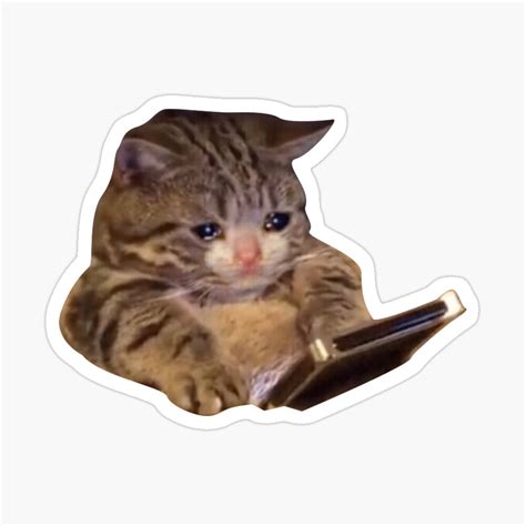 Sad Cat Meme Thumbs Up With Heart Good Job Cat Sticker Cat Meme