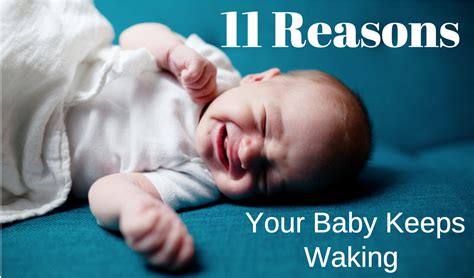 Most Common Reasons Babies Wake Up At Night Violet Sleep Baby Sleep