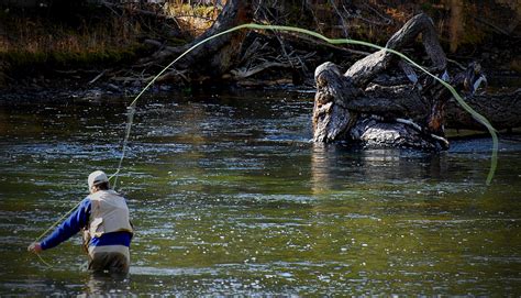 Download Fly Fishing Image Fish Images