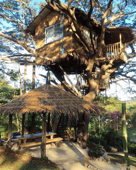 9 Treehouse Hotels And Airbnbs In The Philippines For Your Next Vacay