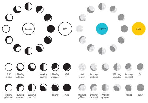 Free Moon Phases Vector 109139 Vector Art At Vecteezy 6df