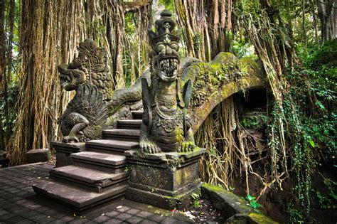 Ubud Village And Monkey Forest Half Day Private Tour Tourist Journey
