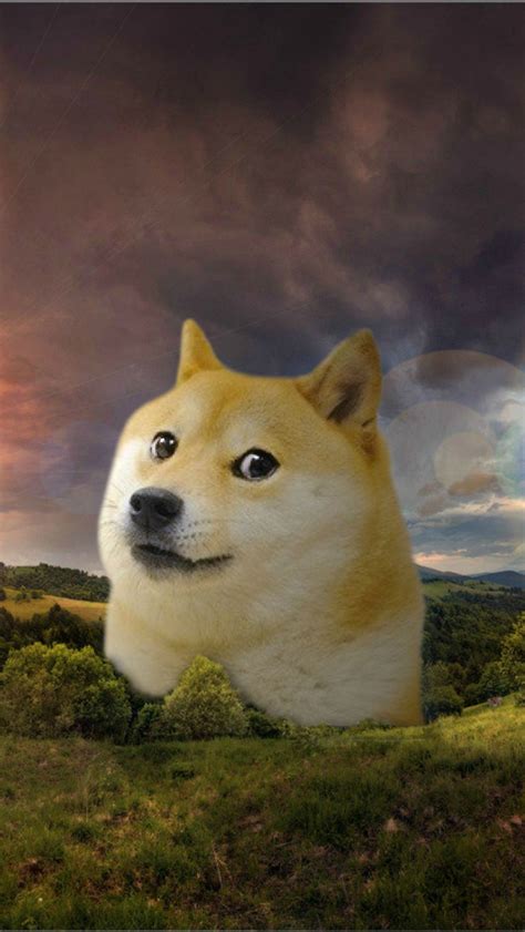 Free Download Friend Of Mine Asked Me To Make Him A Doge Wallpaper