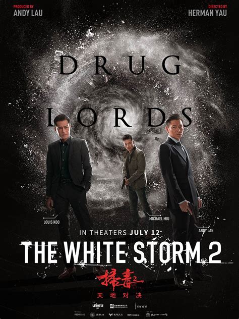 The White Storm 2 Drug Lords Andy Lau Louis Koo Reunite 12 Years