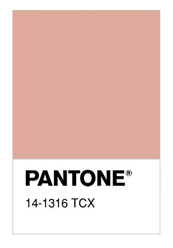 Colore Pantone 14 1316 Tcx Dusty Pink Numerosamenteit