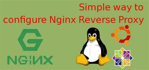 Setting Up An Nginx Reverse Proxy For Openstack Cloudqubes Hot Sex Picture