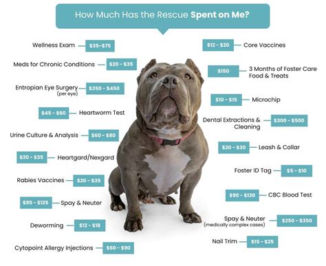 How Much Is A Dog Adoption Fee
