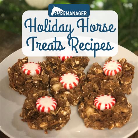 Holiday Horse Treat Recipes Barnmanager