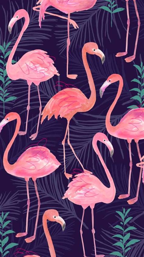 Flamingos Flamingo Wallpaper Trendy Wallpaper Pattern Iphone Wallpaper