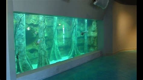 Toledo Zoo Aquarium Makes A Splash At Grand Opening