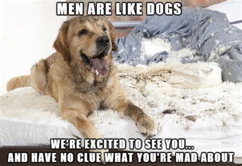 Men Are Like Dogs Pictures Photos And Images For
