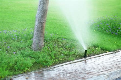 Understanding The Anatomy Of Your Lawn Irrigation System The