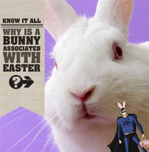 Why Is A Bunny Associated With Easter