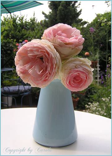 Eden Roses In A Petit Enamel Jug Picked Fresh From The Gar Flickr