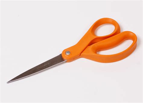 Filelarge Scissors