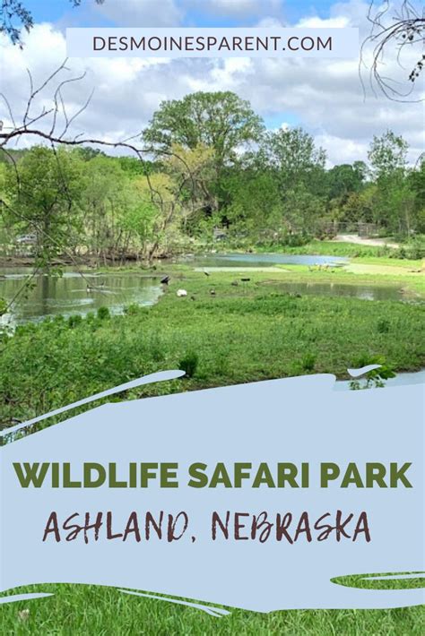 Wildlife Safari Park And Hiking In Nebraska Safari Park Wildlife