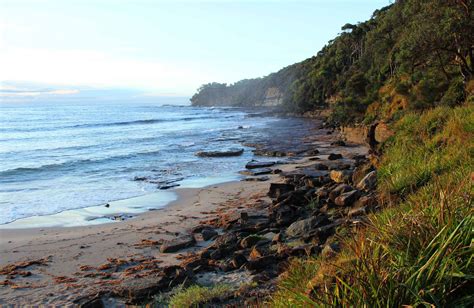 Pretty Beach Campground Nsw National Parks And Wildlife Service