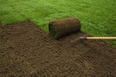 How To Plant A New Lawn From Seed Or Sod The Garden Glove