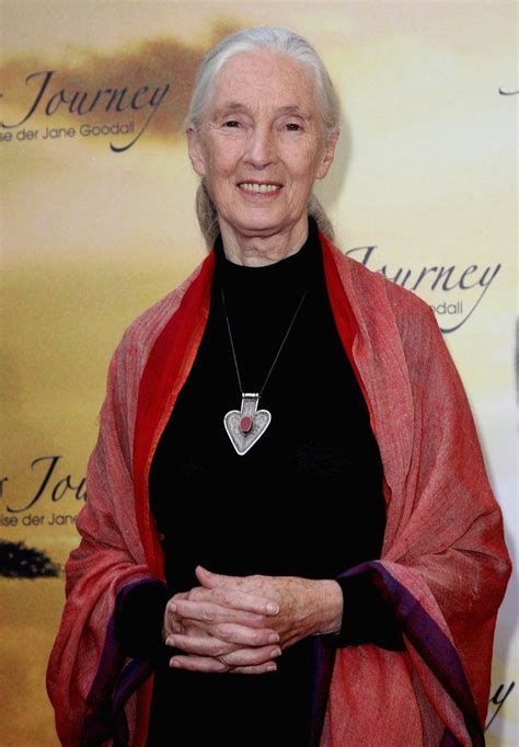 These 50 Stars Say No To Turkey Jane Goodall Famous Vegans World