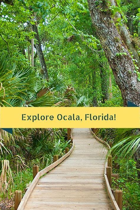A Hidden Gem Ocala Florida Traveling Mom Places In Florida Visit