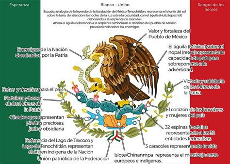 el escudo nacional y su significado simbolos patrios de mexico images